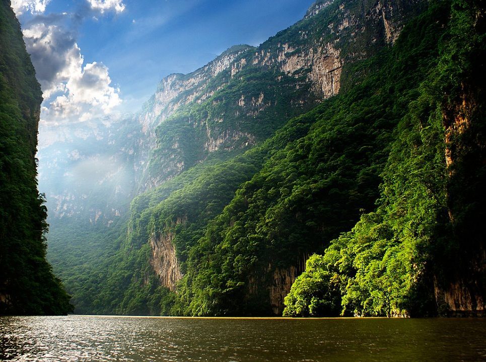 Sumidero Canyon : Our guide to visit the cliffs and the national park | Alma de Chiapas