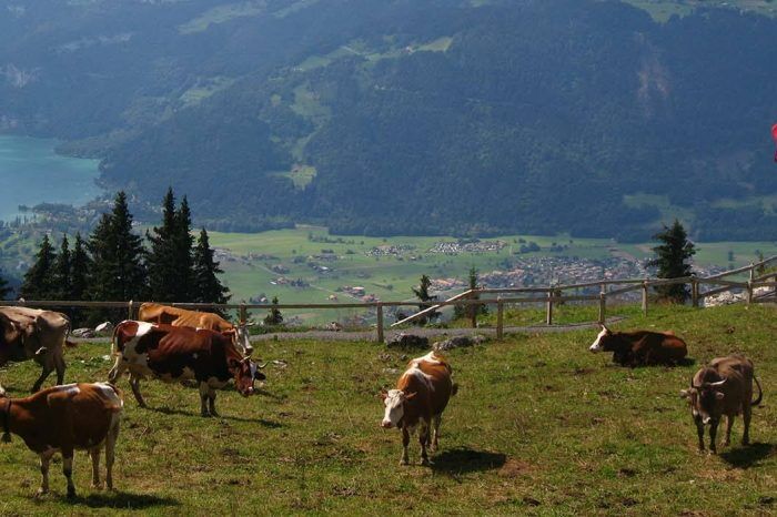 Екскурзия в Швейцария