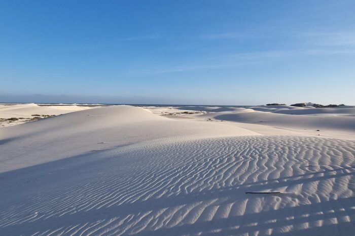 Екскурзия о.Сокотра – най-странния остров