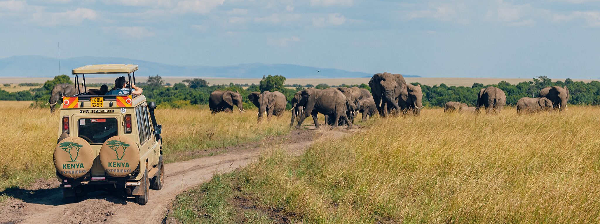 Kenya Safari Tours | Guided Wilderness Lodge Safaris